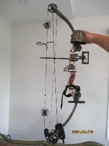 Martin Pantera Compound Bow - Photo 4