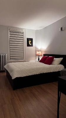 DOWNTOWN TORONTO, QUEEN & BATHURST, 3 BED, 1 BATH APT FOR RENT - Photo 4