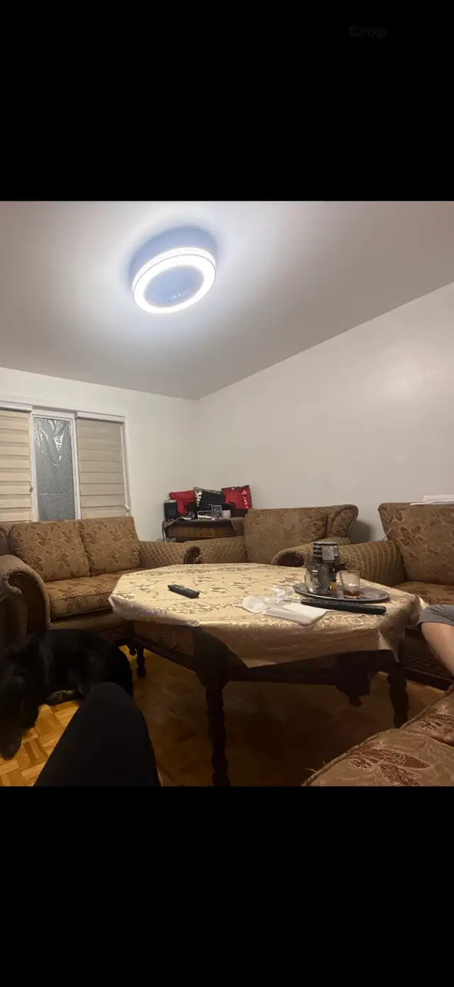 SOFA / COUCH