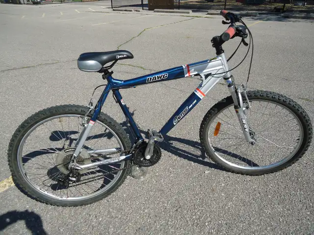 PRO - LINE Bike, (like NEW)