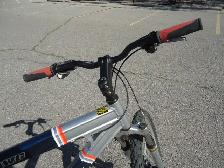 PRO - LINE Bike, (like NEW) - Photo 3