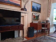 Luxury Large and Bright 1 Bdm Apart Bordering Over High Park - Photo 9