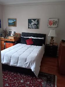 Luxury Large and Bright 1 Bdm Apart Bordering Over High Park - Photo 10