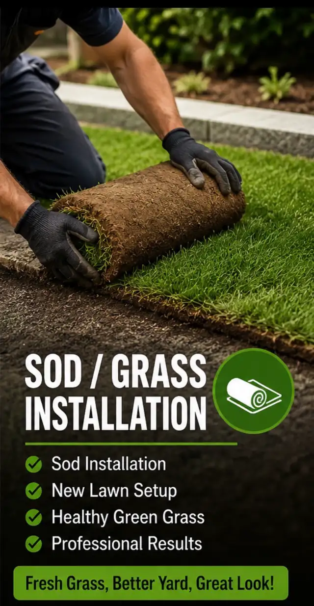 FRESH SOD INSTALLATION SPECIAL – BEAUTIFUL GREEN LAWNS!