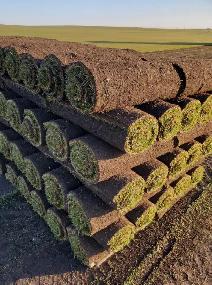 FRESH SOD INSTALLATION SPECIAL – BEAUTIFUL GREEN LAWNS! - Photo 2