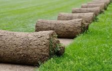 FRESH SOD INSTALLATION SPECIAL – BEAUTIFUL GREEN LAWNS! - Photo 4