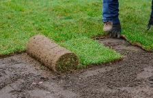 FRESH SOD INSTALLATION SPECIAL – BEAUTIFUL GREEN LAWNS! - Photo 5