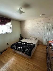 House for Rent Near Bramalea GO Station
