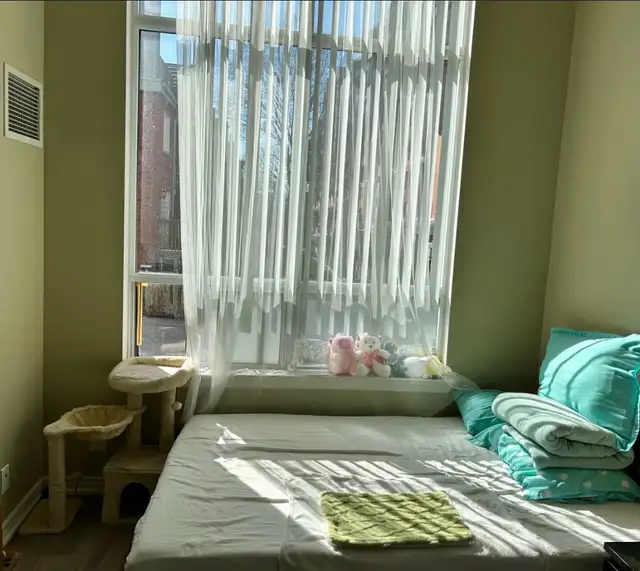 Toronto DT Subletting last month (starting Aug 5) (All included)