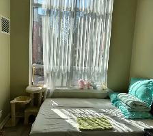 Toronto DT Subletting last month (starting Aug 5) (All included)