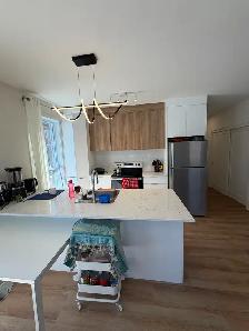 2-BEDROOM IN DORVAL - FREE MONTH - PET FRIENDLY - Photo 3