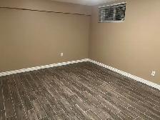 IN LAW SUITE Separate entrance 2 bedroom 1200sq/ft basement apar - Photo 6