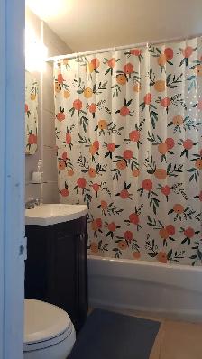Large Bright 3.5 fully furnished September 1st - Photo 8