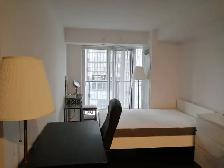 Furnished condo bachelor/studio University of Toronto (UOT) - Photo 4
