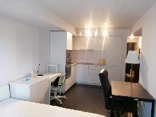 Furnished condo bachelor/studio University of Toronto (UOT) - Photo 5