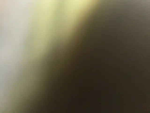 Cleaner needed