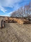 Dry Firewood/ Free Delivery - Photo 2
