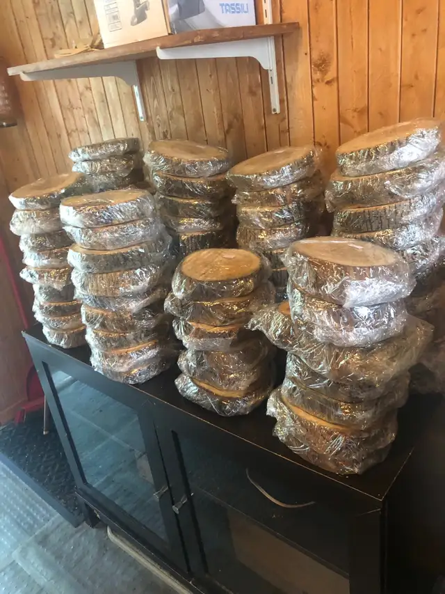 Pleins de rondins de bois à vendre à prix sublimes
