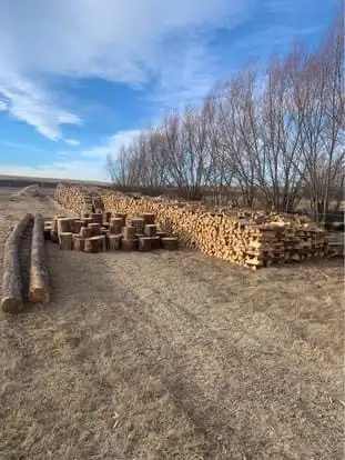 Dry Firewood/ Free Delivery