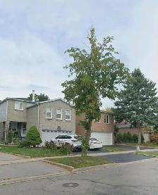 Large basement apartment for rent. Pickering, Brock & Major Oaks