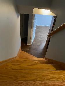 Large basement apartment for rent. Pickering, Brock & Major Oaks - Photo 6