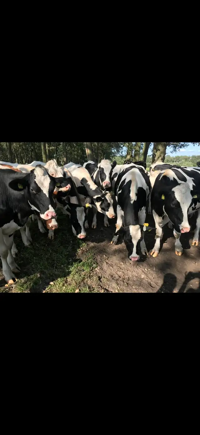 Farm Help Wanted