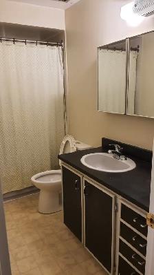 One bedroom apartment for rent, very good location, everything i - Photo 4