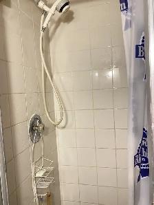 5 Mins Walk to Whitehorn Ctrain / Near Industrial Area & Airport - Photo 10