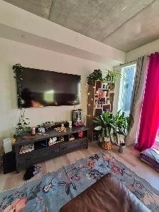 Condo 31/2 bord de la rivière St-Charles - Photo 5