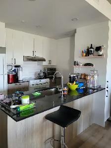 Condo 31/2 bord de la rivière St-Charles - Photo 10