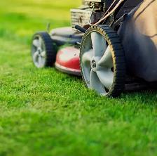 SUMMER SAVINGS – LAWN MOWING SERVICES! - Photo 4