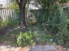 SAY GOODBYE TO WEEDS! - Photo 4