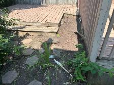 SAY GOODBYE TO WEEDS! - Photo 6