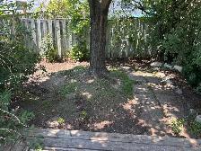 SAY GOODBYE TO WEEDS! - Photo 7