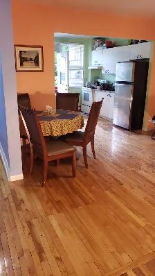 Large Bright 3.5 fully furnished September 1st - Photo 4