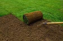 INSTANT GREEN LAWN – SOD INSTALLATION SPECIAL! - Photo 3