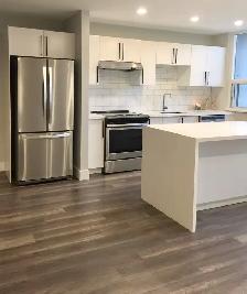 Quartz Kitchen and Bathroom Countertops - Photo 4