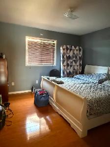room available in houses