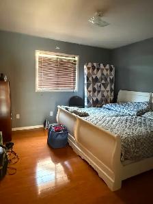 room available in houses - Photo 6