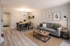 STUDENT RENTAL | WALK TO WESTERN UNIVERSITY | $750 PER ROOM - Photo 7