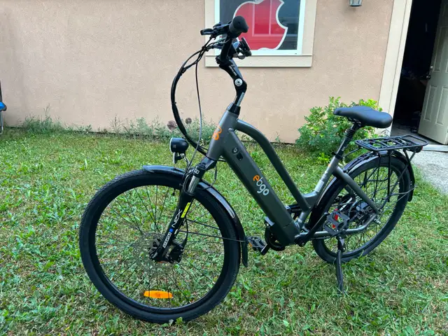 E-Bike, Ebgo