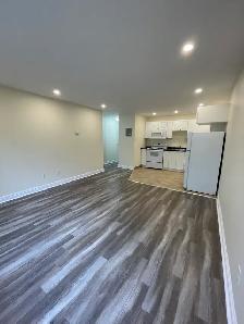 Spacious 1BR at MacIntosh Pointe - 132 Old Sambro - Heat/Wat/Pk - Photo 8
