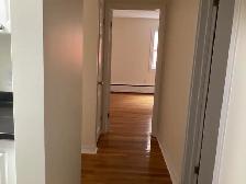 1BR Suites w/ Arm Views - 7137 Quinpool Rd (Unit 201 & 206) - Photo 7