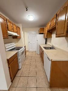 Spacious 2-Level 2BR w/ Private Deck - Heat/Water/PK Incl - Photo 5