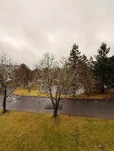 Spacious 2-Level 2BR w/ Private Deck - Heat/Water/PK Incl - Photo 8