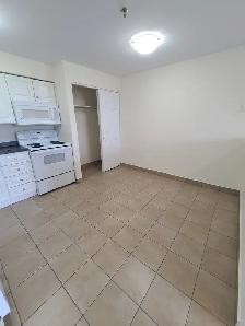 Renovated 1BR w/ Balcony & Dishwasher - 5511 Charles - Heat/Wat - Photo 3