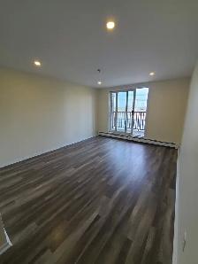 Renovated 1BR w/ Balcony & Dishwasher - 5511 Charles - Heat/Wat - Photo 10