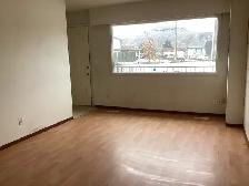 suite for rent