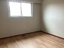 suite for rent - Photo 3