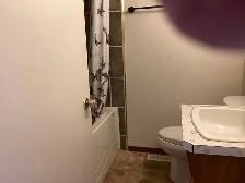 suite for rent - Photo 4